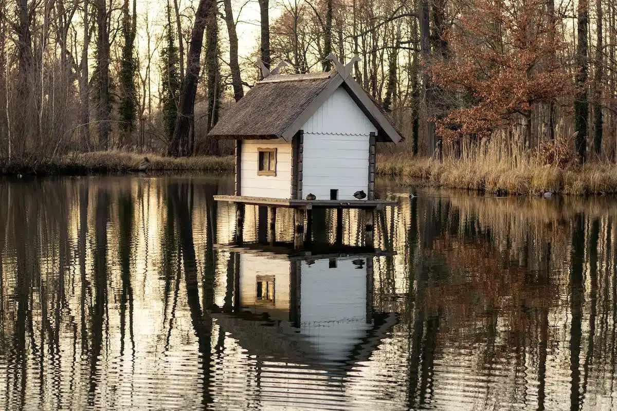 cabane insolite