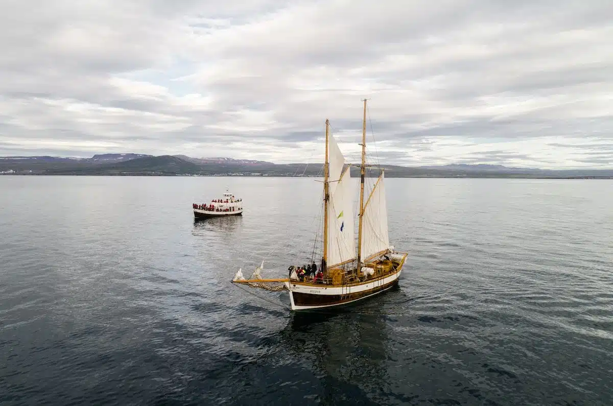bateau excursion