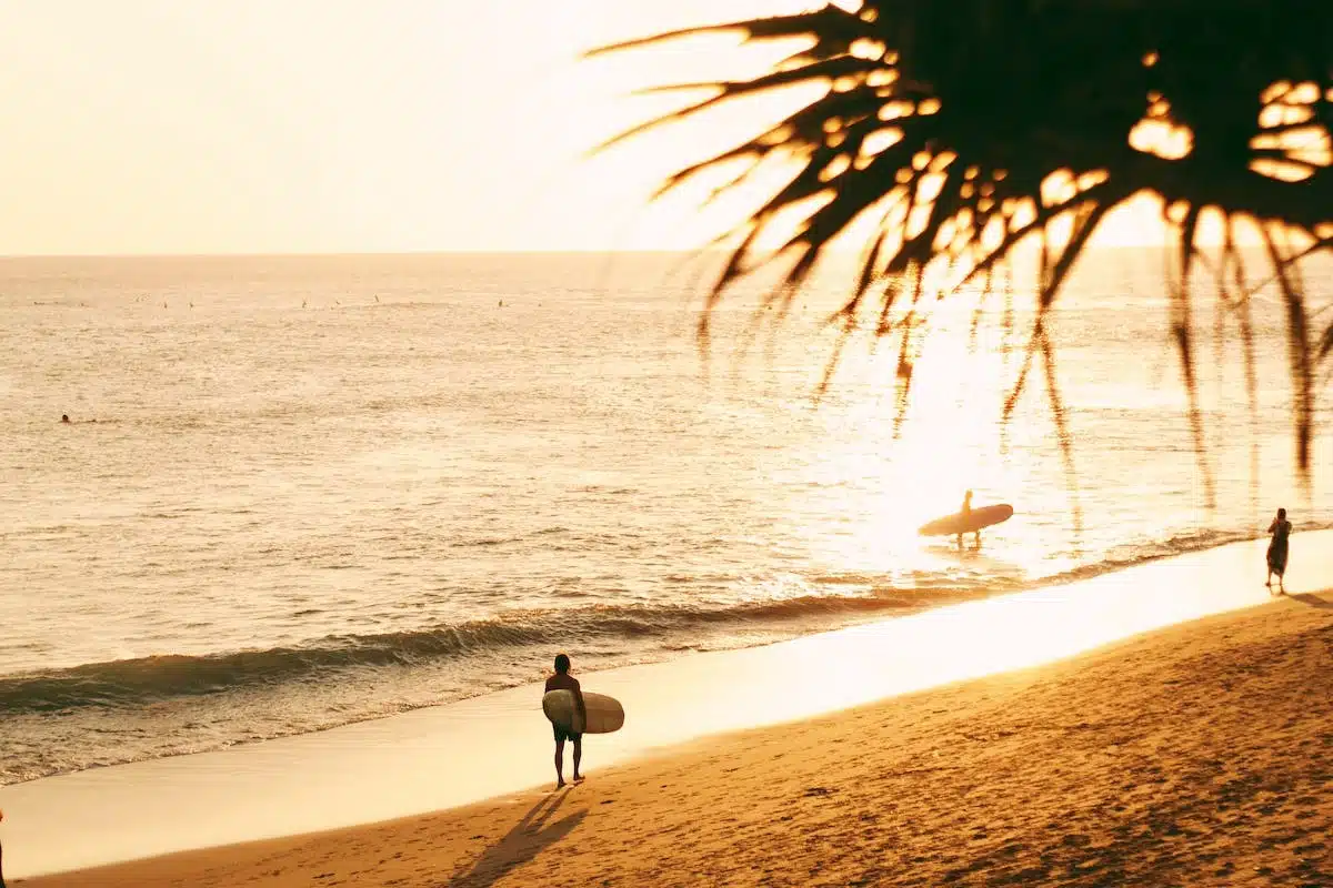 surf  plage