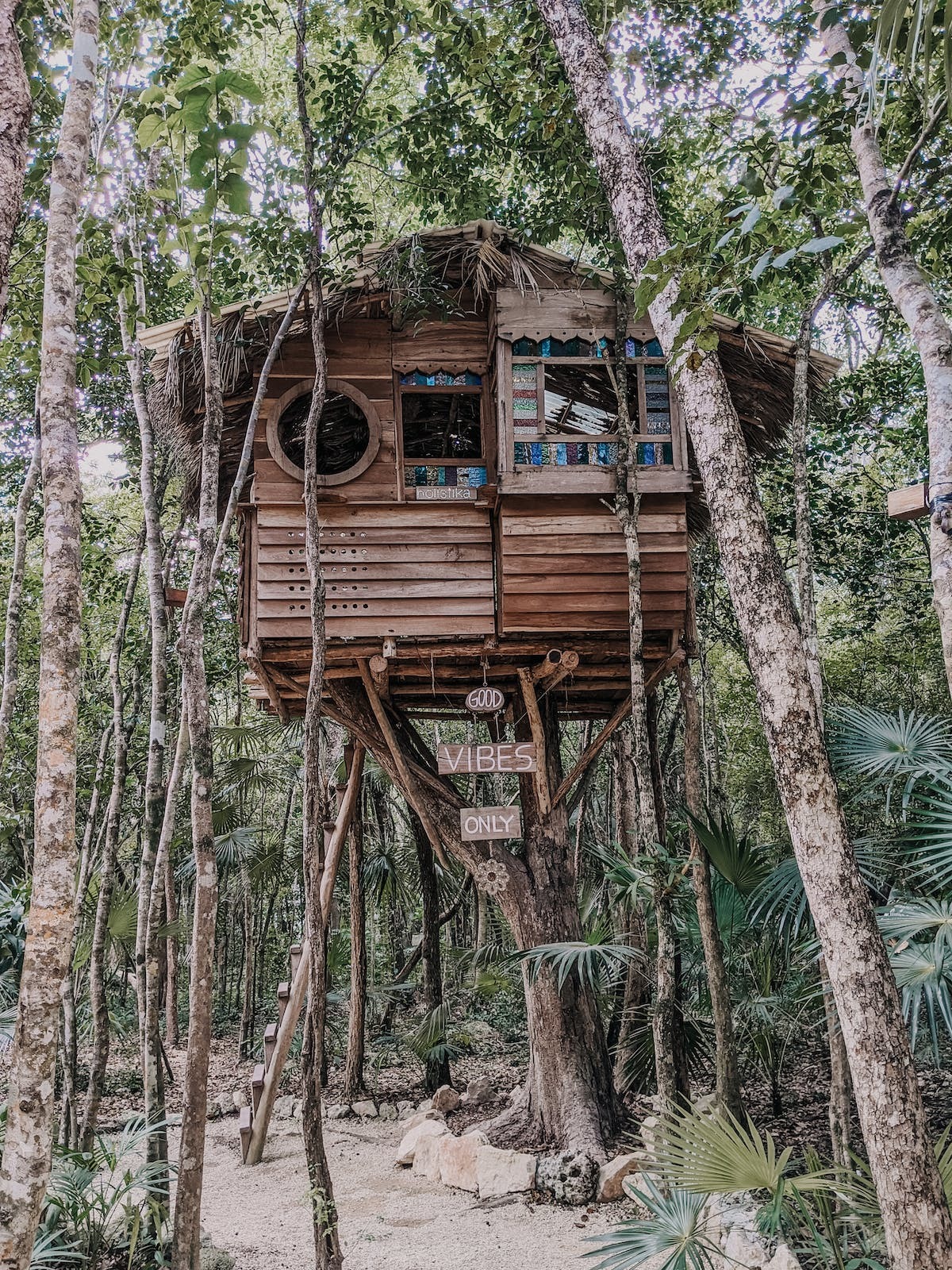 cabane arbre