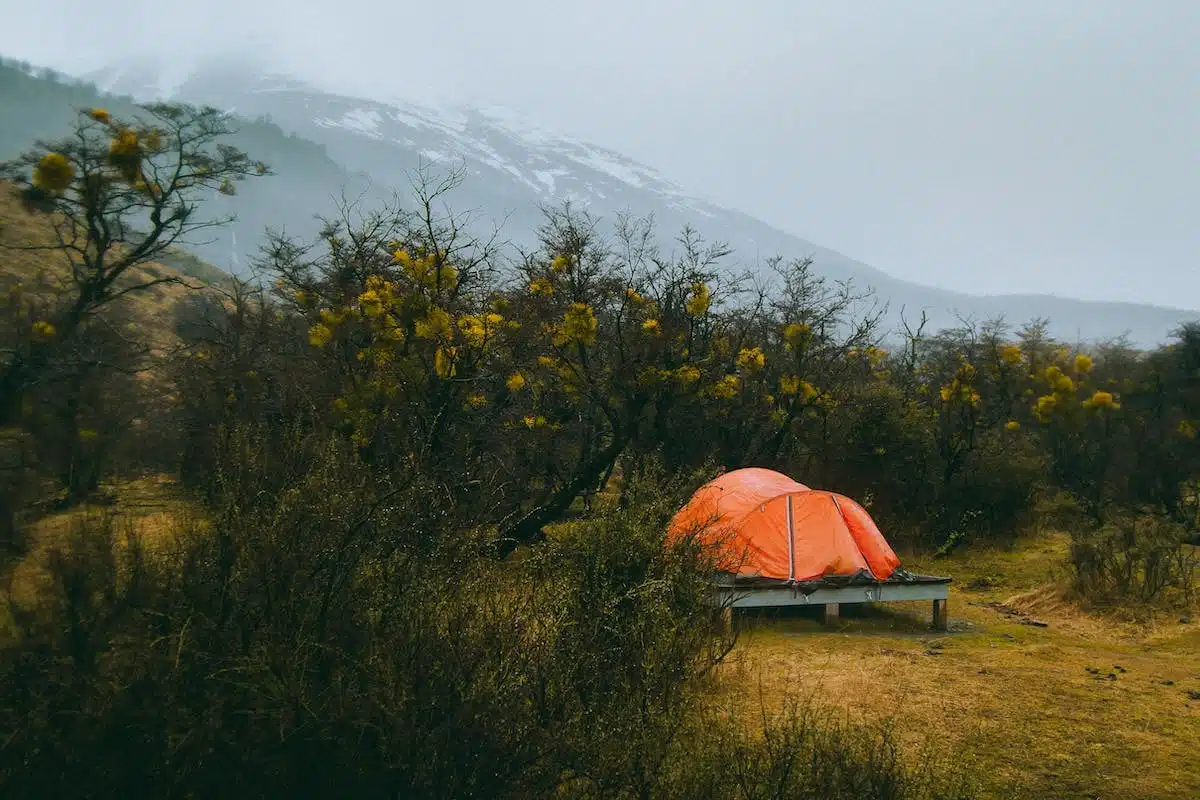 camping nature