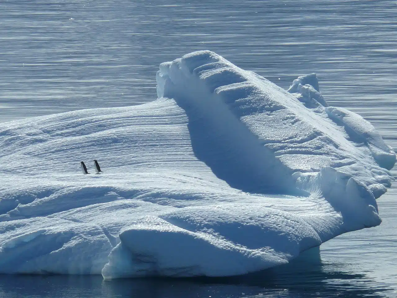 boreal compagnie du ponant